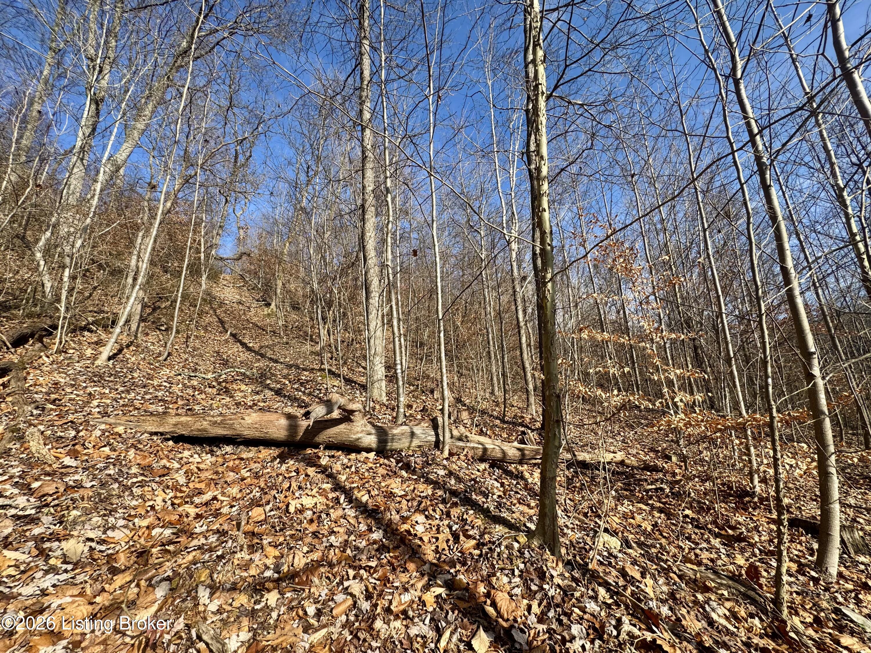 9-10 Winding Hollow Road Lebanon Junction, KY 40150 - Photo 21 of 43 PhotoNov302025,112236AM