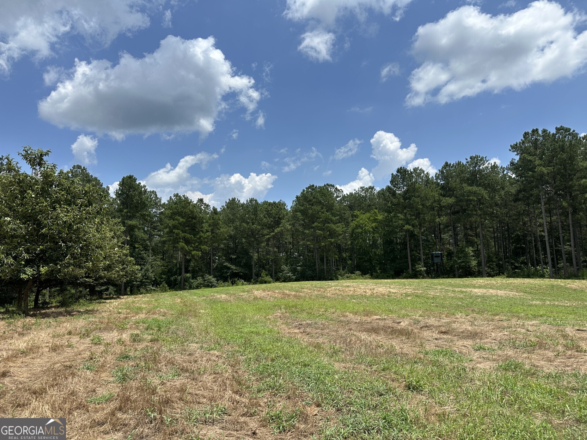 360 Happy Hollow Road Comer, GA 30629 - Photo 19 of 31