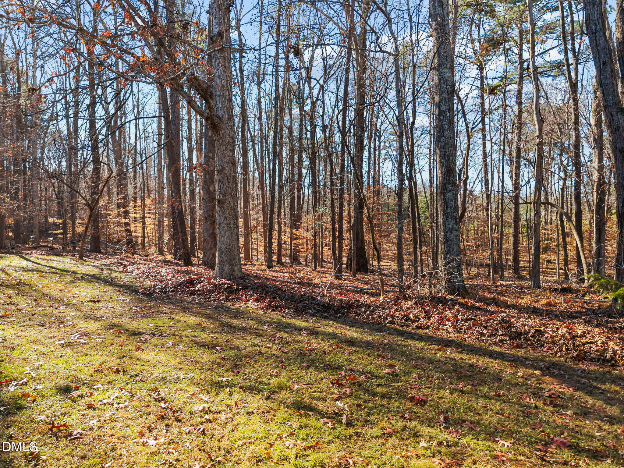 6216 Acorn Ridge Trail Hillsborough, NC 27278 - Photo 57 of 66 1000091486