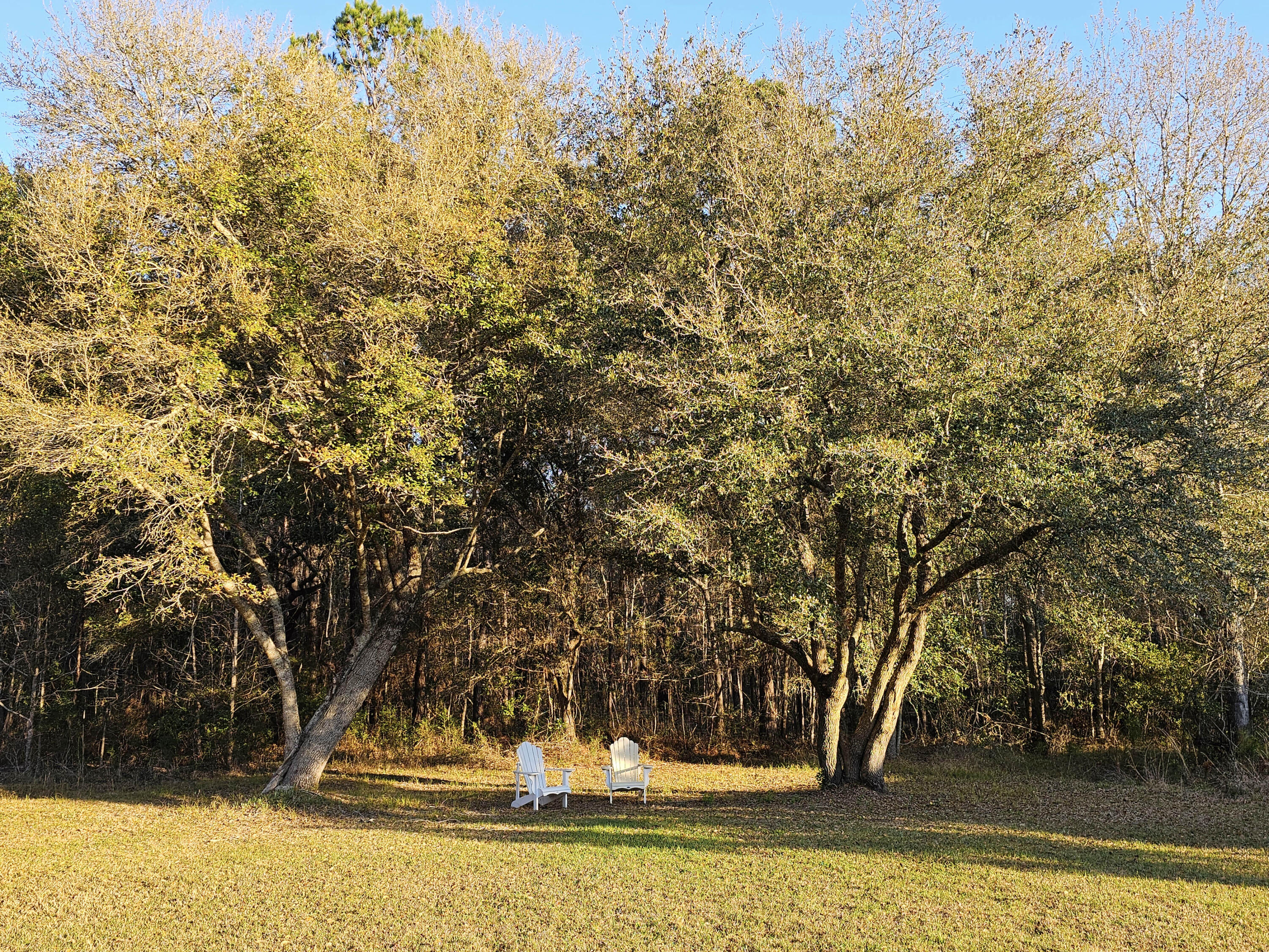 10044 State Rd S-10-1336 McClellanville, SC 29458 - Photo 36 of 53 Chairs in Yard