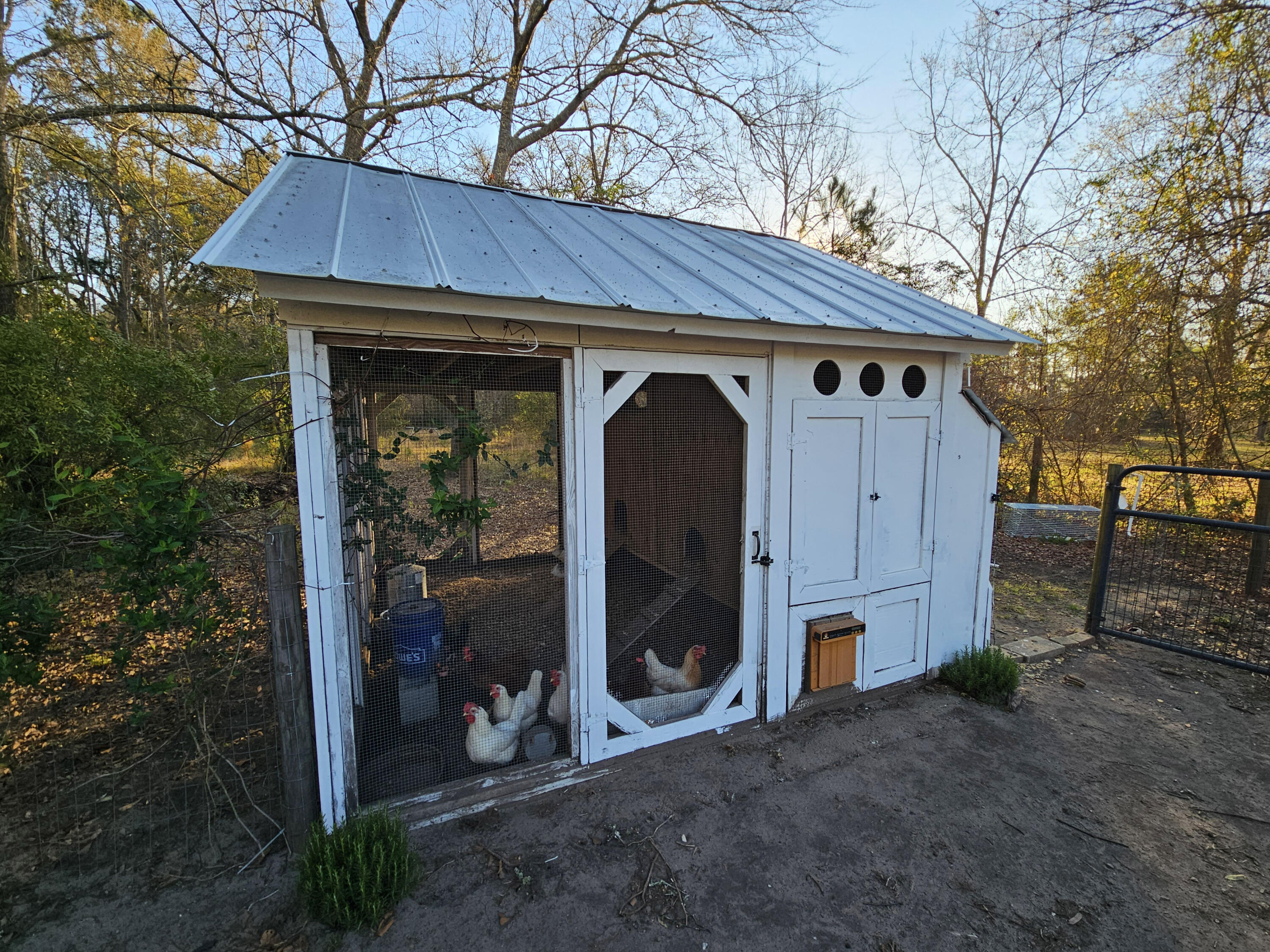 10044 State Rd S-10-1336 McClellanville, SC 29458 - Photo 38 of 53 Custom chicken coop