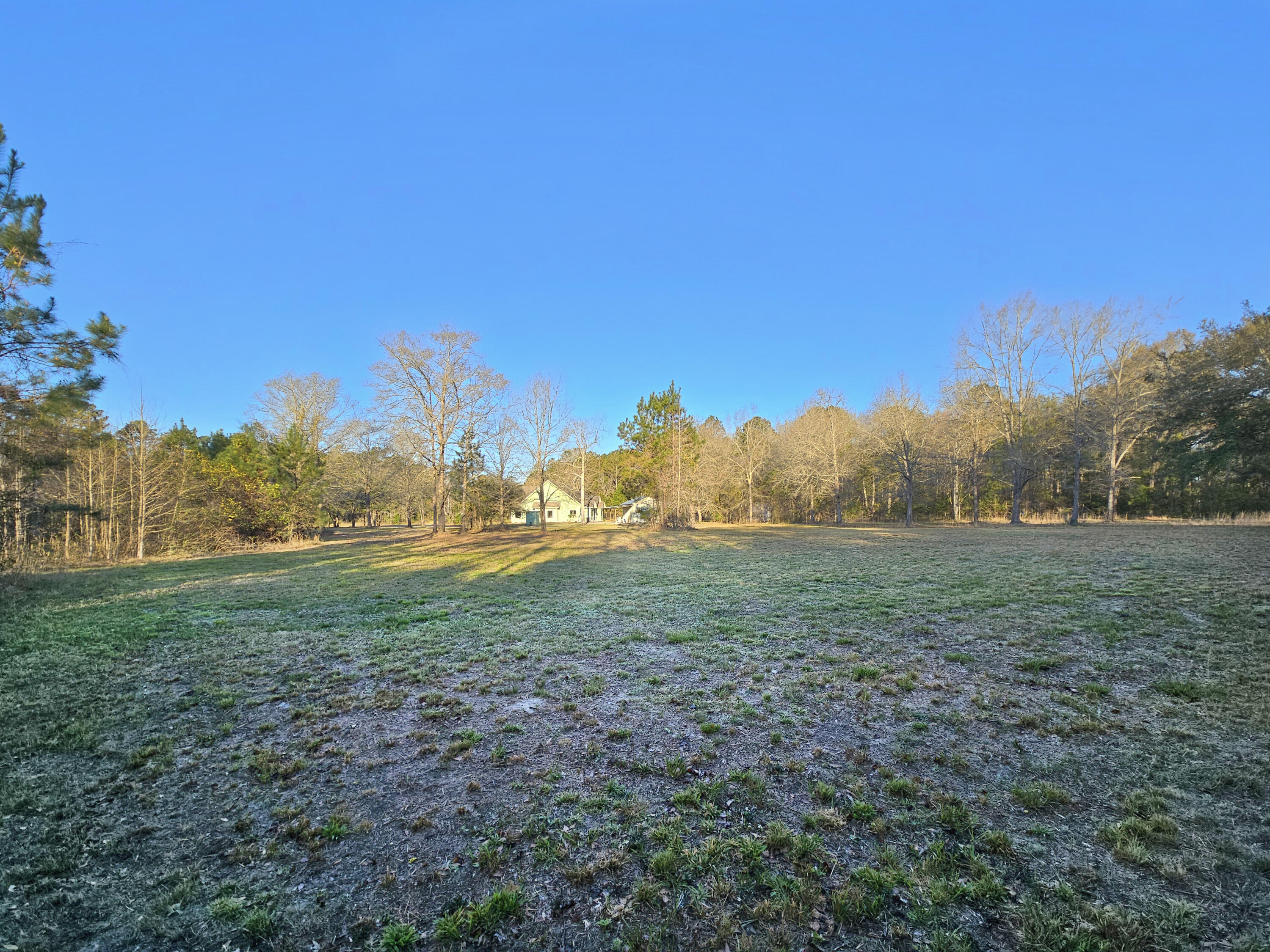 10044 State Rd S-10-1336 McClellanville, SC 29458 - Photo 39 of 53 Field