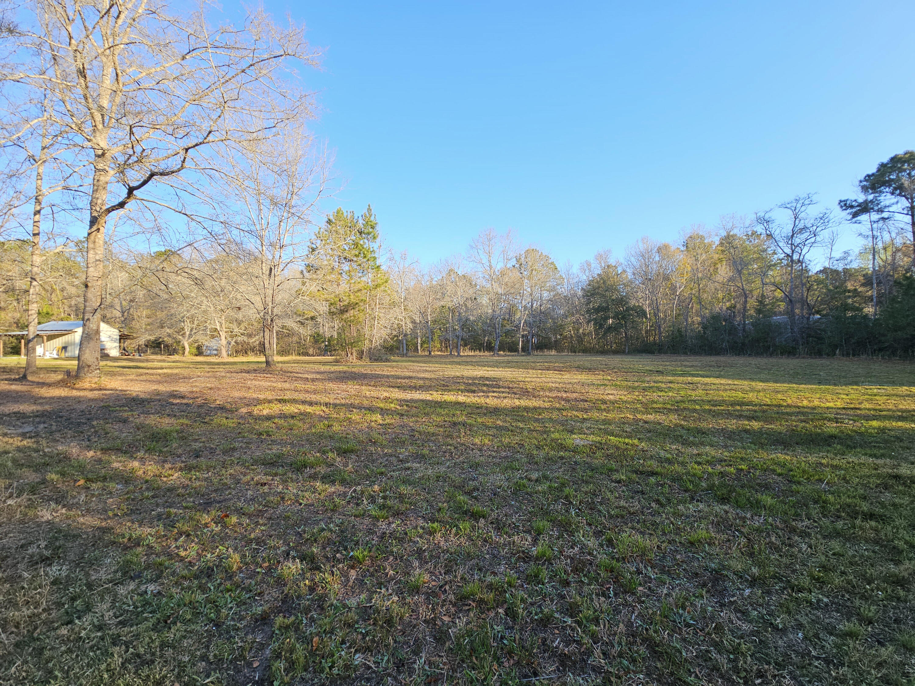 10044 State Rd S-10-1336 McClellanville, SC 29458 - Photo 40 of 53 Field2