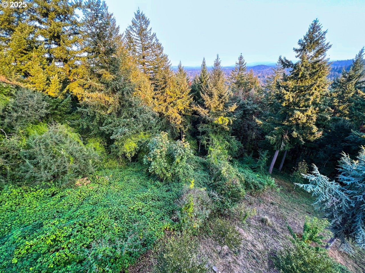 0 Southwest Miller Court Gresham, OR 97080 - Photo 3 of 11