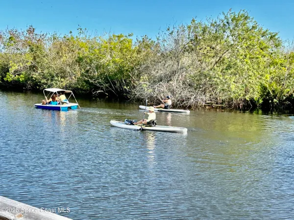 a view of yard from window