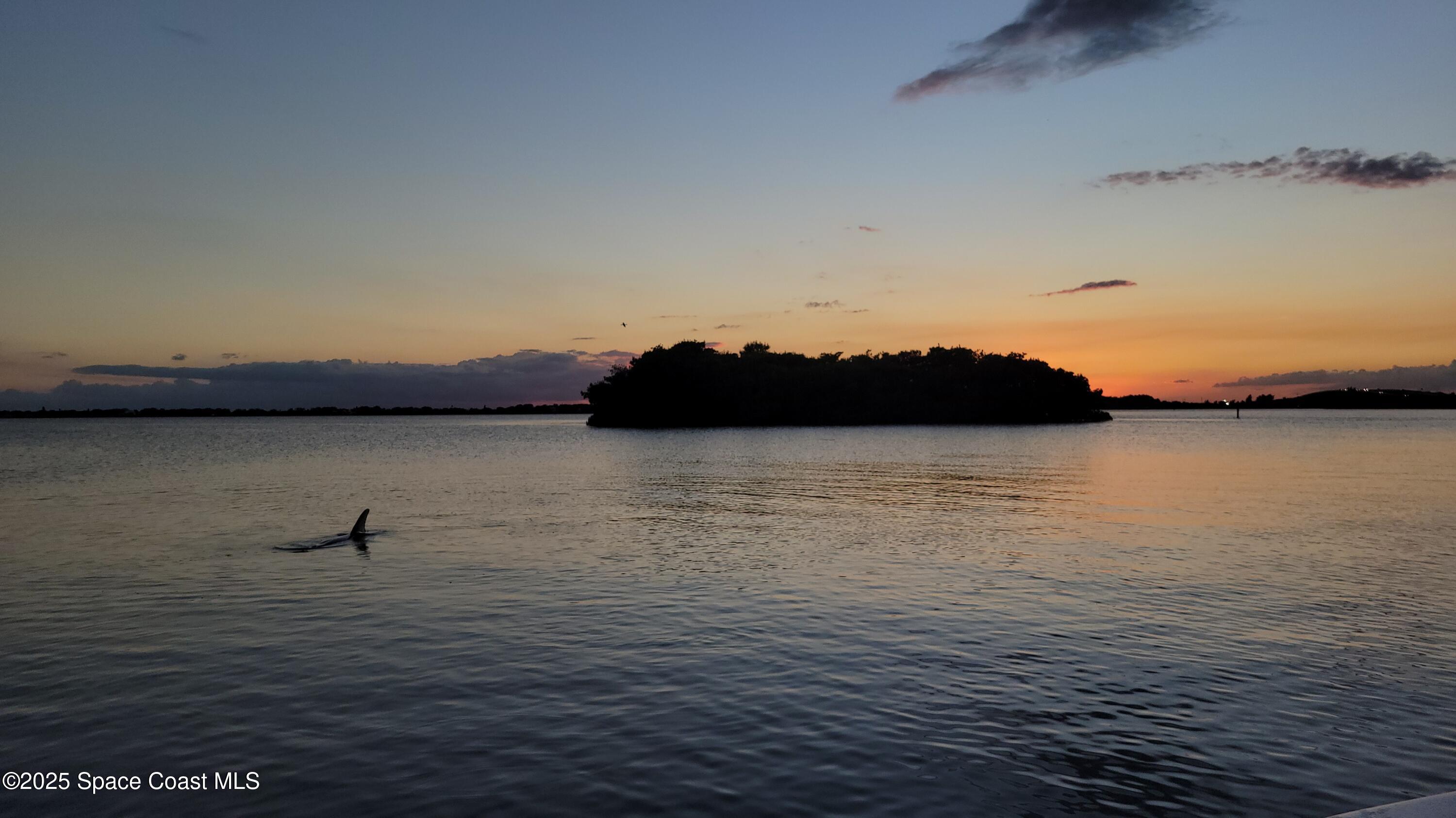 1304 Lichty Street Palm Bay, FL 32905 - Photo 56 of 63 20211102_183650