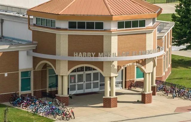 a view of a yard with plants