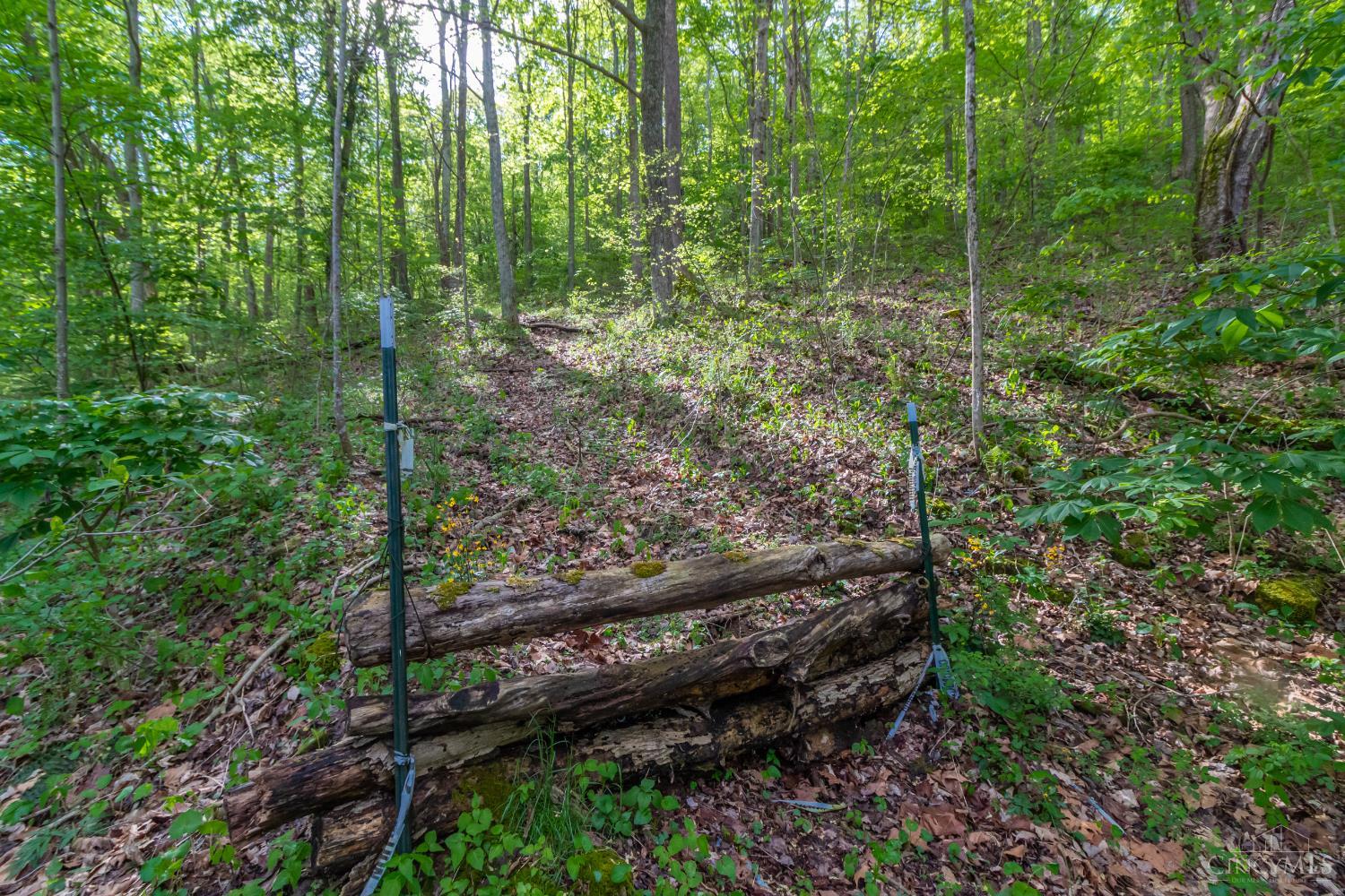 2432 Johnson Run Road Stout, OH 45684 - Photo 14 of 57 Gallery Image 14