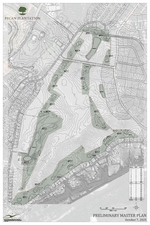 10517 Ravenswood Road Granbury, TX 76049 - Photo 34 of 35 a view of a rug