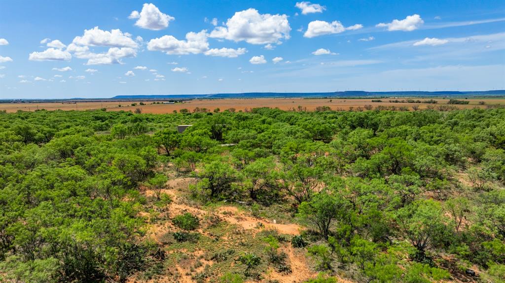 179 County Road Trent, TX 79561 - Photo 22 of 28