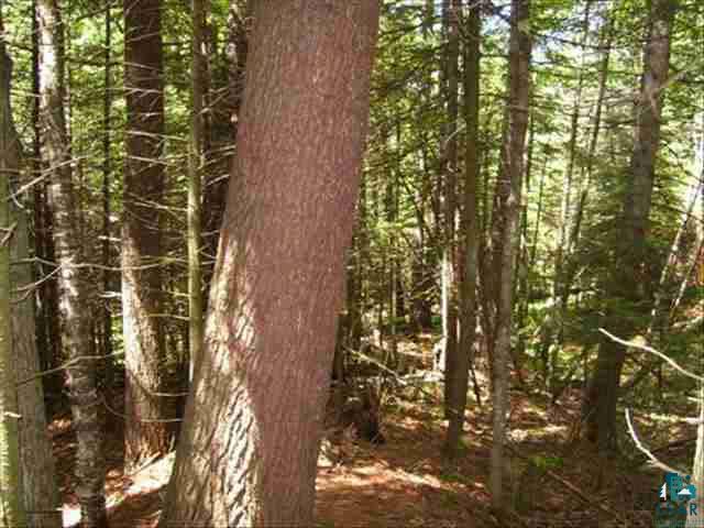- Susens Road Foxboro, WI 54836 - Photo 3 of 8