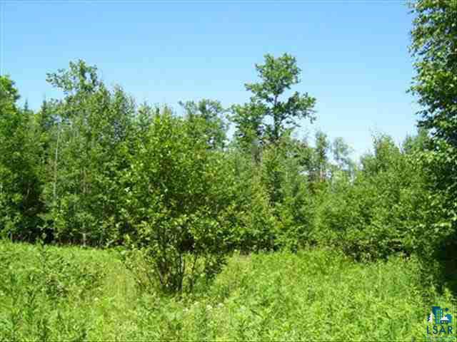 - Susens Road Foxboro, WI 54836 - Photo 5 of 8