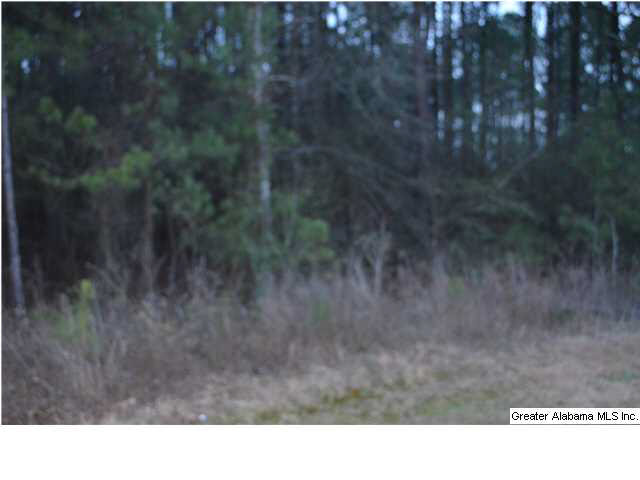 Covered Bridge Road Cleveland, AL 35049 - Photo 2 of 6