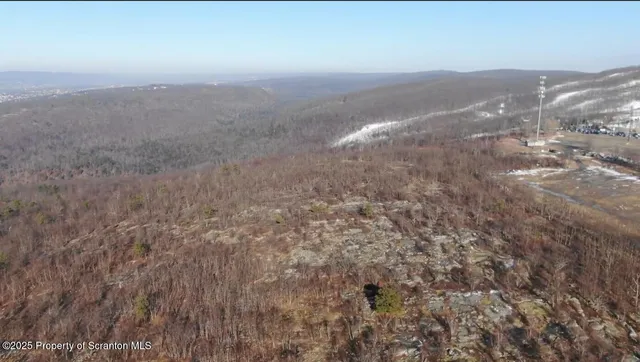 a view of a dry yard