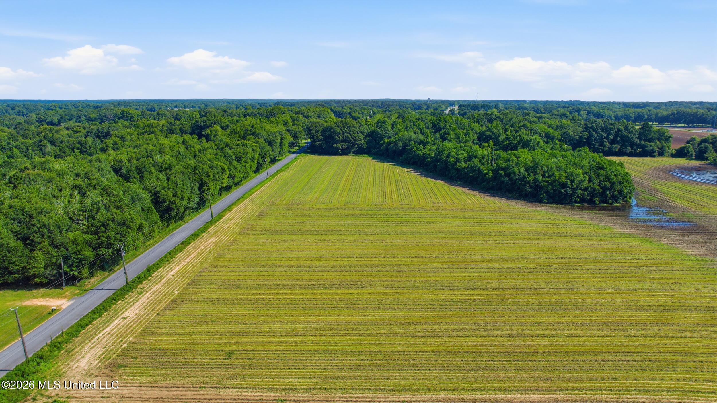 28-acres Harmon Pope Road Lucedale, MS 39452 - Photo 23 of 43 dji_20260628001118_0116_d