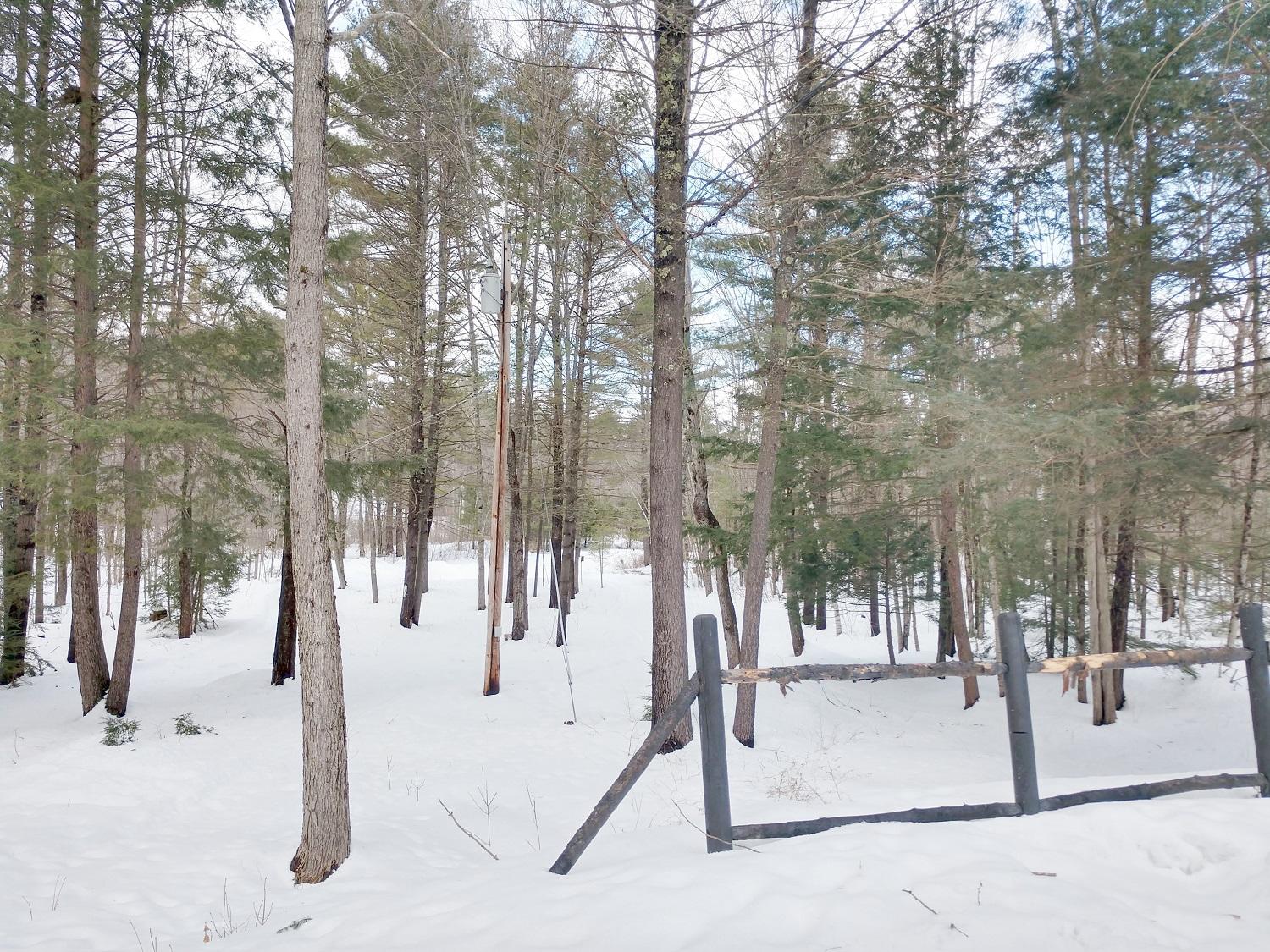 945 Lebanon Road Acton, ME 04001 - Photo 14 of 40 7 math