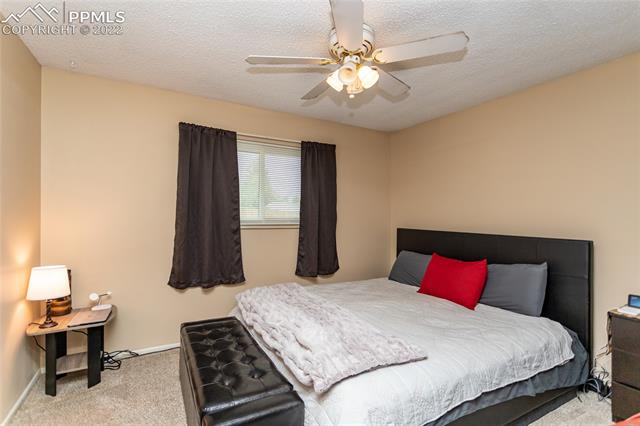 6806 Dale Road Colorado Springs, CO 80915 - Photo 16 of 21