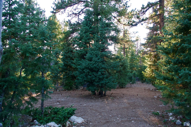 140 East Rim Road Duck Creek Village, UT 84762 - Photo 27 of 45 View of undeveloped land