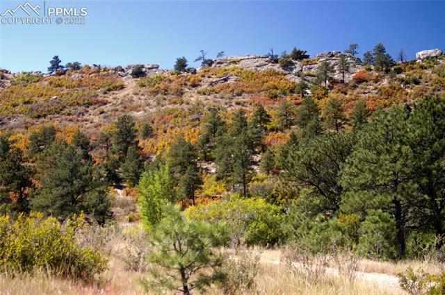 5515 Sample Way Colorado Springs, CO 80919 - Photo 22 of 22 Nearby Ute Valley Park / Pinon Valley area