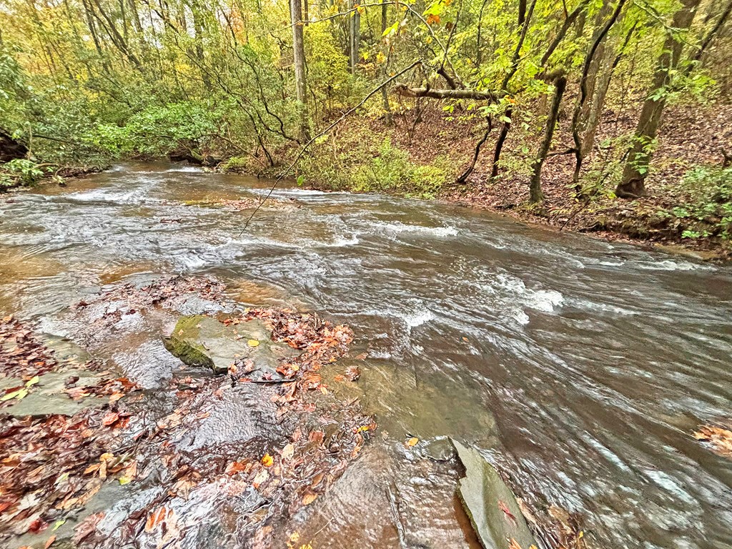 571 Jones Creek Road Ellijay, GA 30540 - Photo 29 of 68 Gallery Image 29