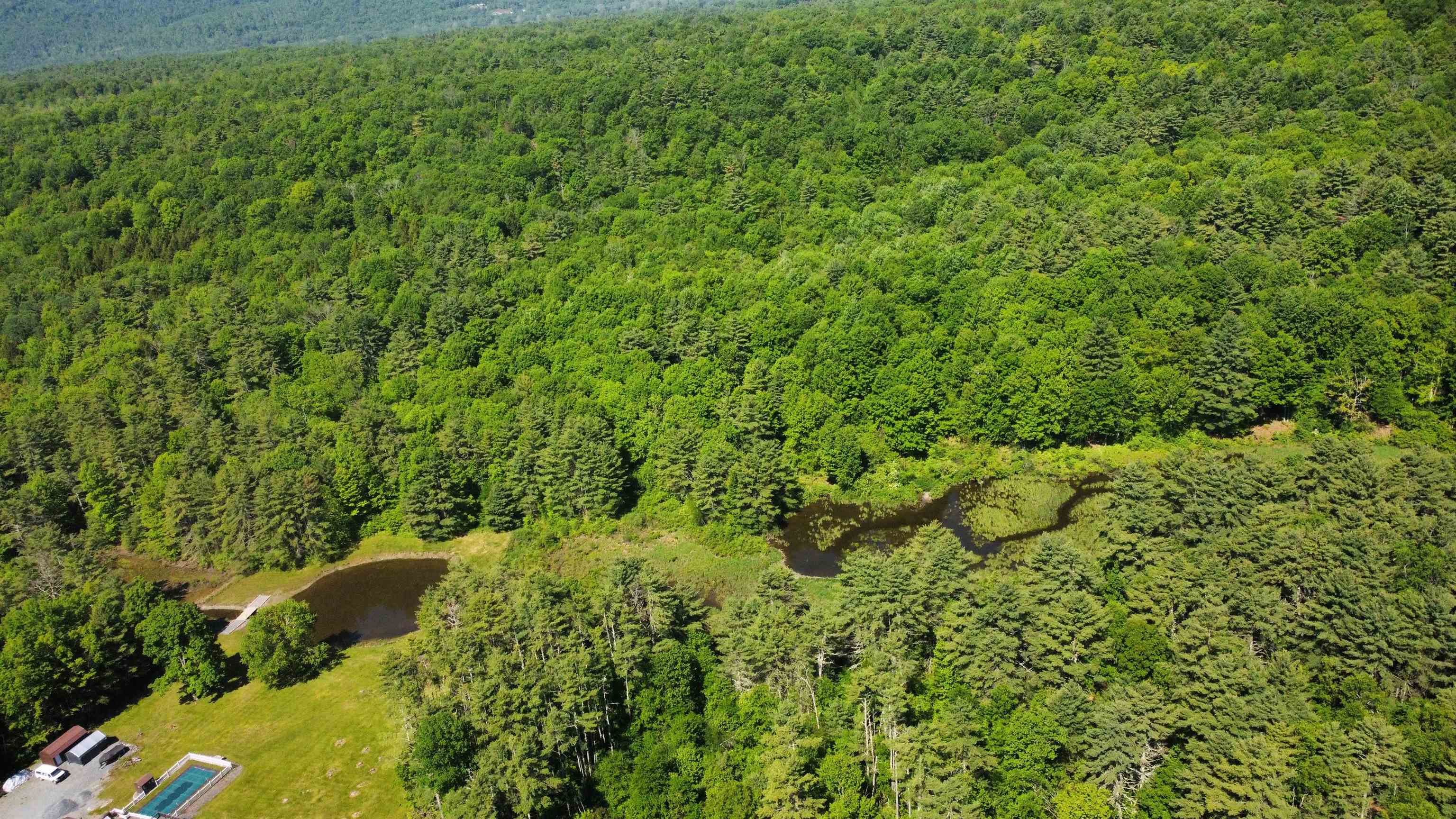 0 Bullfrog Hollow Road Wells, VT 05774 - Photo 5 of 26