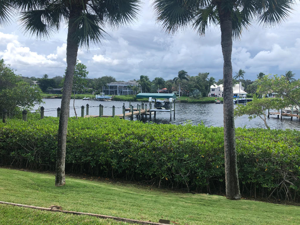 18169 Southeast Ridgeview Drive Tequesta, FL 33469 - Photo 22 of 23 a view of a yard with palm tree