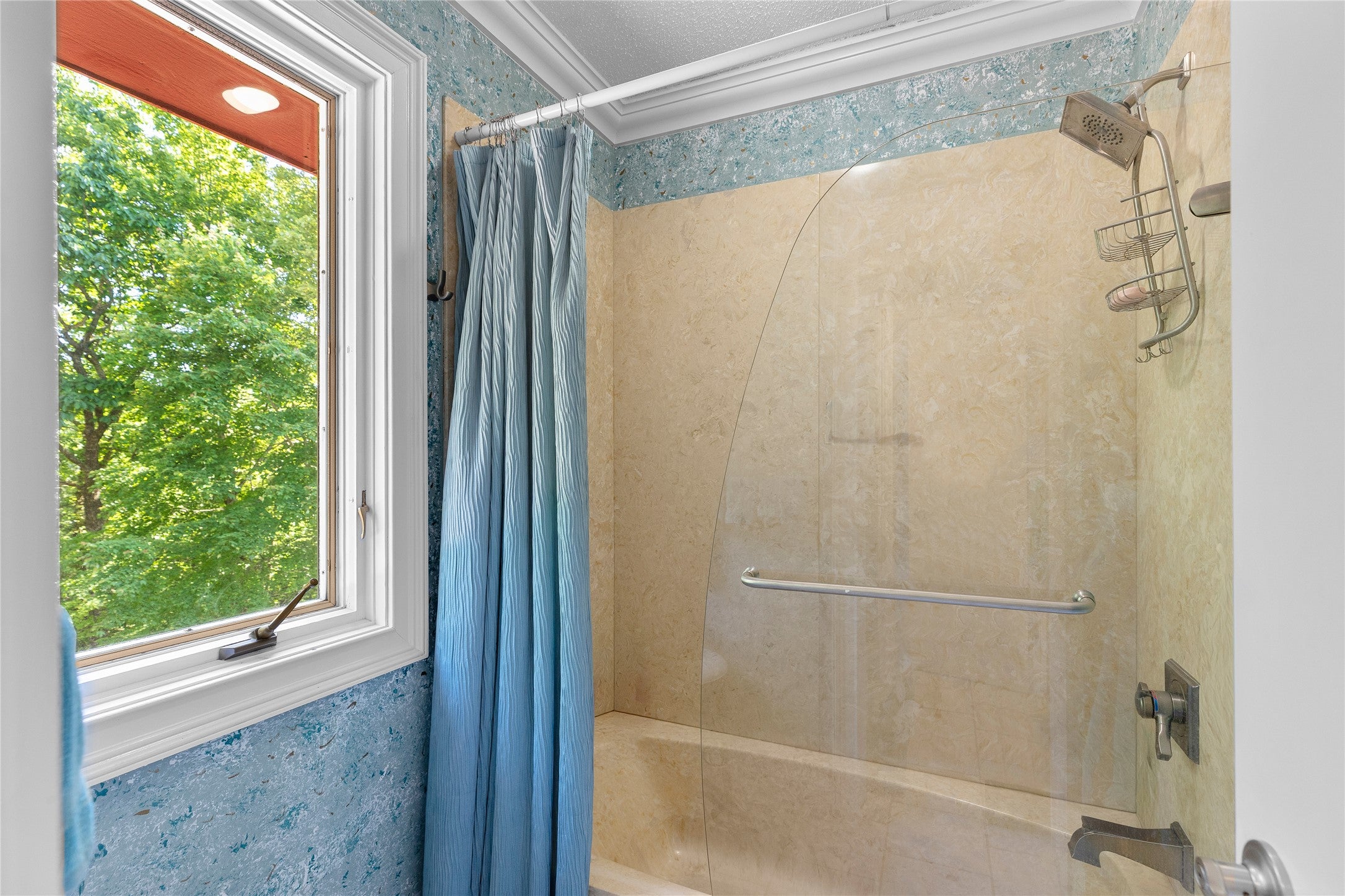 800 Blue Ridge Road Lake Toxaway, NC 28747 - Photo 81 of 100 Gallery Image 81