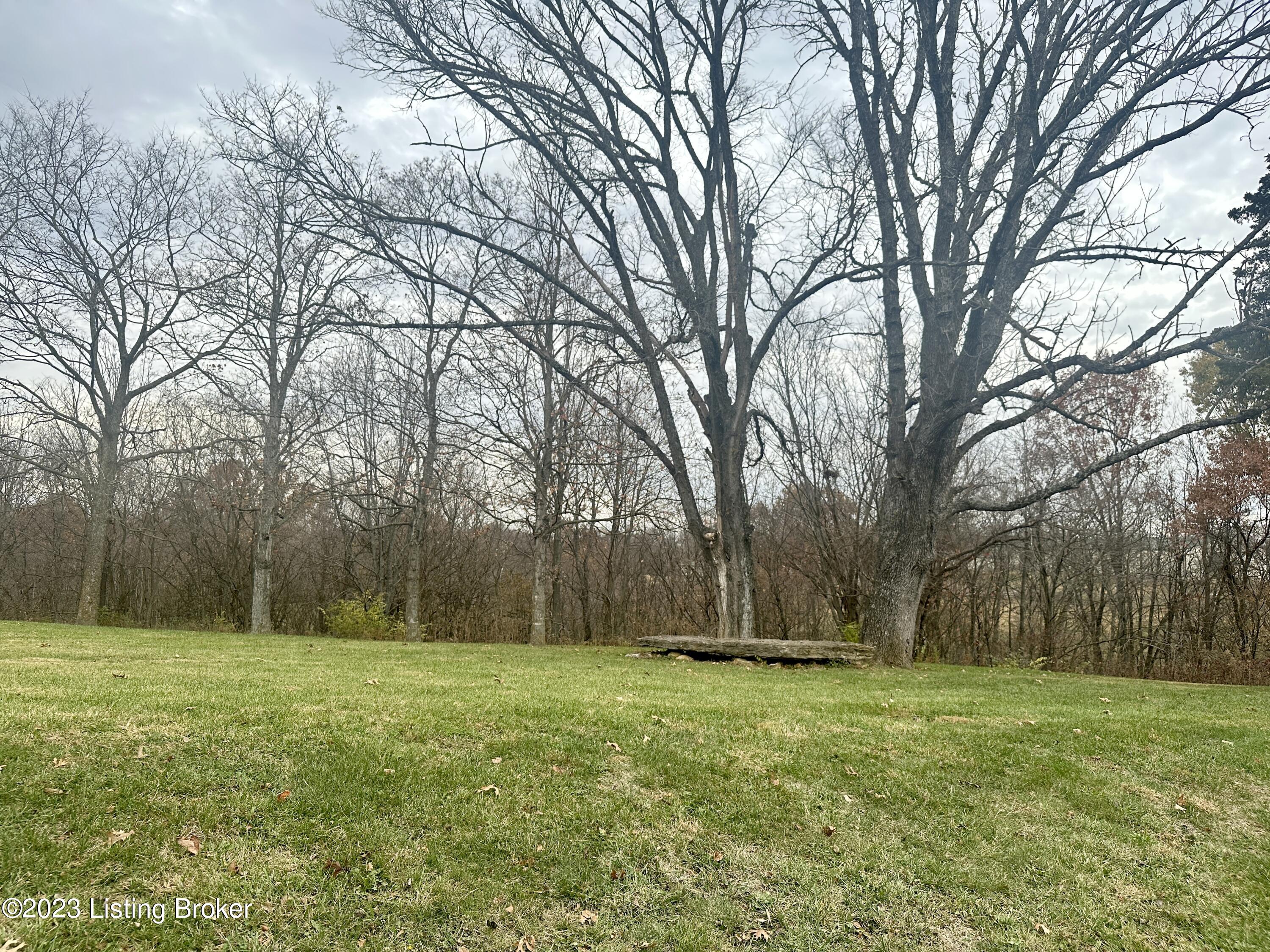 640 Samuels Road Coxs Creek, KY 40013 - Photo 11 of 40 Beautiful backyard view