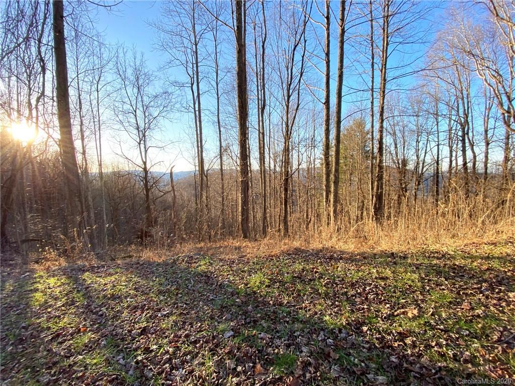3111 Baltimore Branch Road Hot Springs, NC 28743 - Photo 1 of 29 Gallery Image 1