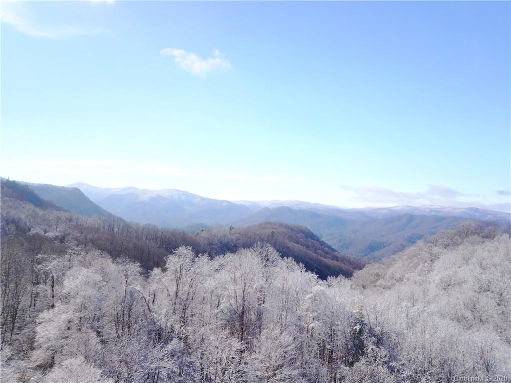 3111 Baltimore Branch Road Hot Springs, NC 28743 - Photo 2 of 29 Gallery Image 2
