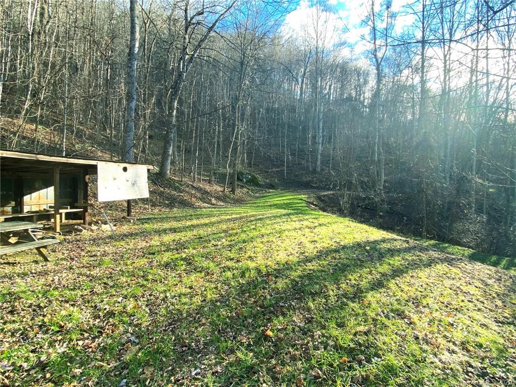 3111 Baltimore Branch Road Hot Springs, NC 28743 - Photo 11 of 29 Gallery Image 11
