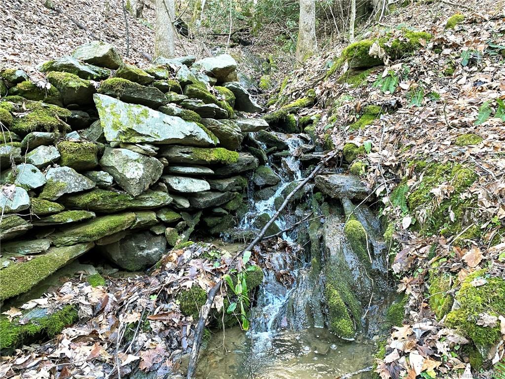 3111 Baltimore Branch Road Hot Springs, NC 28743 - Photo 12 of 29 Gallery Image 12