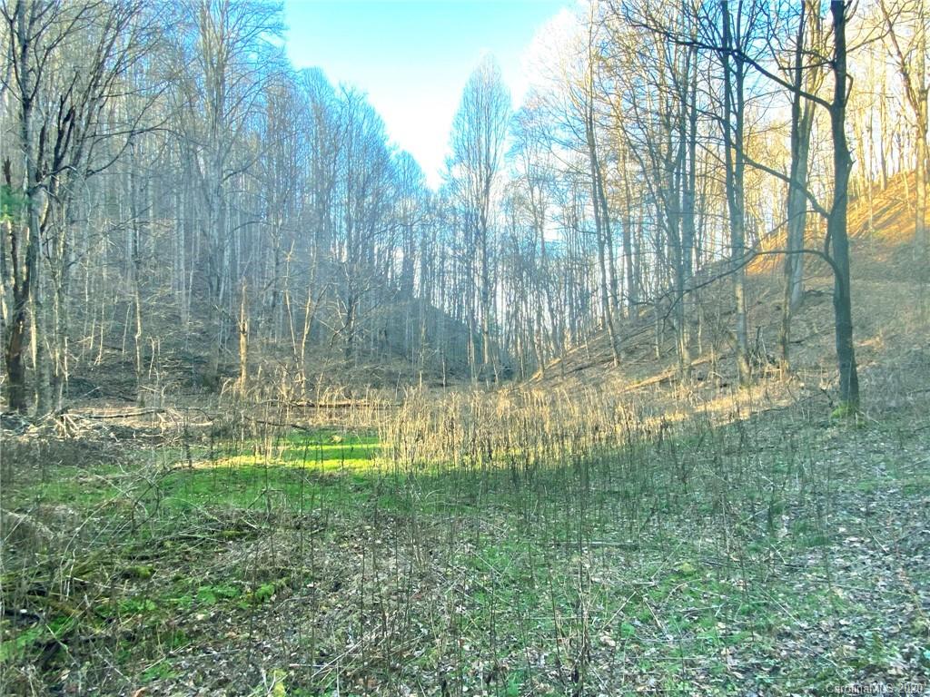 3111 Baltimore Branch Road Hot Springs, NC 28743 - Photo 13 of 29 Gallery Image 13