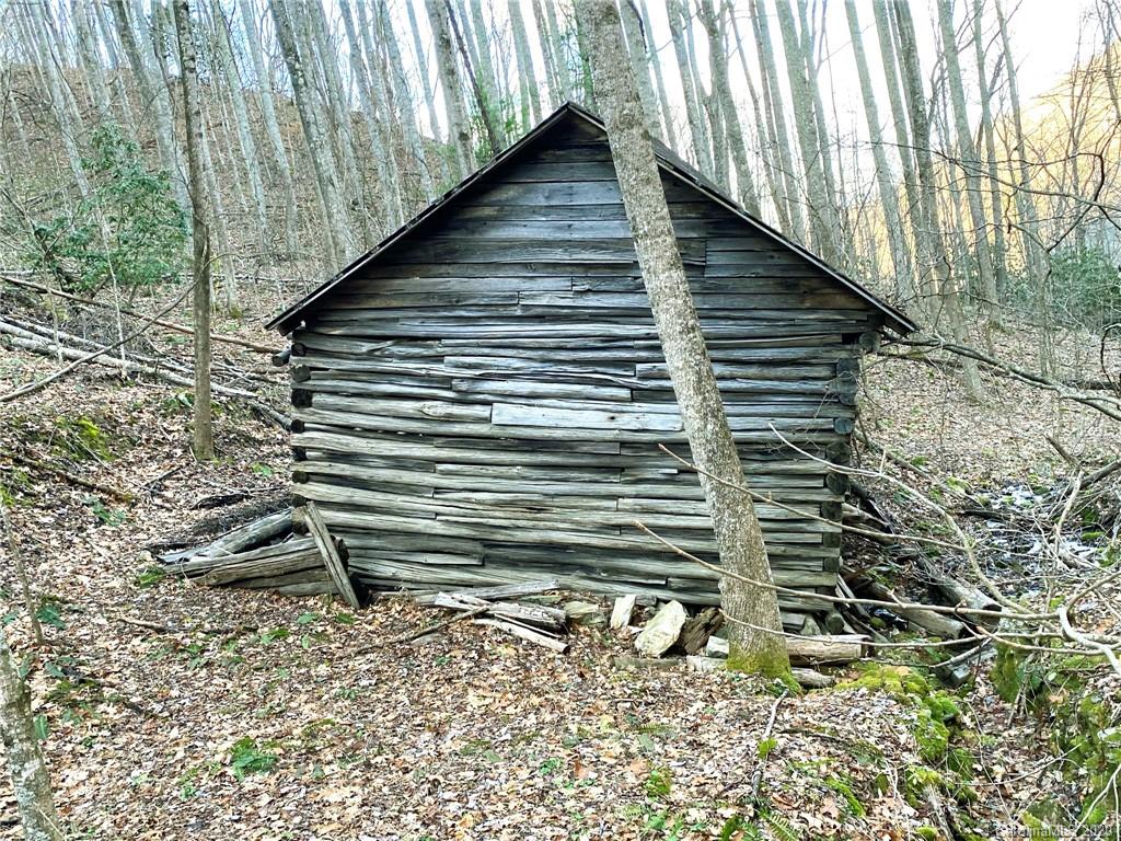 3111 Baltimore Branch Road Hot Springs, NC 28743 - Photo 14 of 29 Gallery Image 14