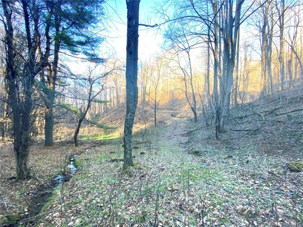 3111 Baltimore Branch Road Hot Springs, NC 28743 - Photo 15 of 29 Gallery Image 15