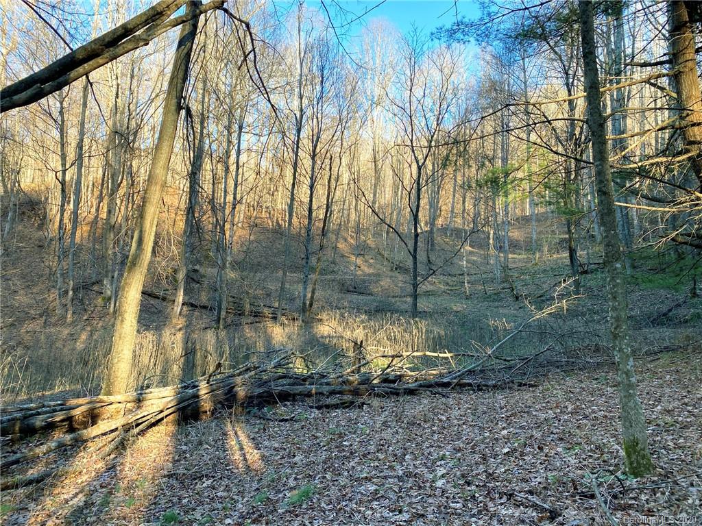 3111 Baltimore Branch Road Hot Springs, NC 28743 - Photo 16 of 29 Gallery Image 16