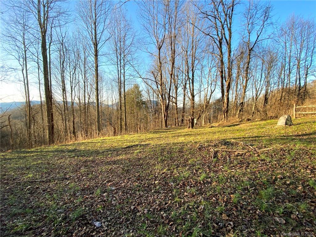 3111 Baltimore Branch Road Hot Springs, NC 28743 - Photo 17 of 29 Gallery Image 17