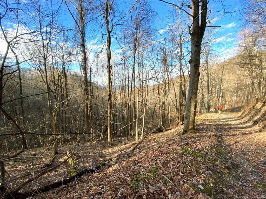 3111 Baltimore Branch Road Hot Springs, NC 28743 - Photo 20 of 29 Gallery Image 20