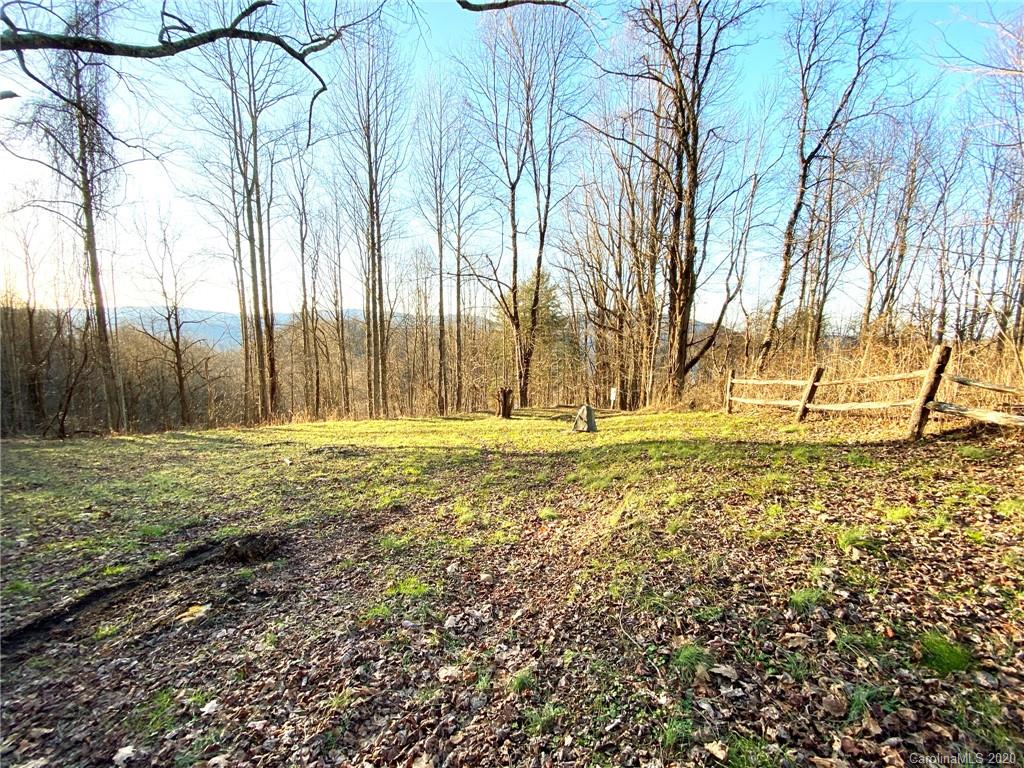3111 Baltimore Branch Road Hot Springs, NC 28743 - Photo 3 of 29 Gallery Image 3