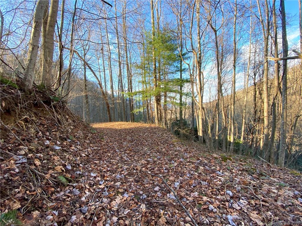 3111 Baltimore Branch Road Hot Springs, NC 28743 - Photo 21 of 29 Gallery Image 21