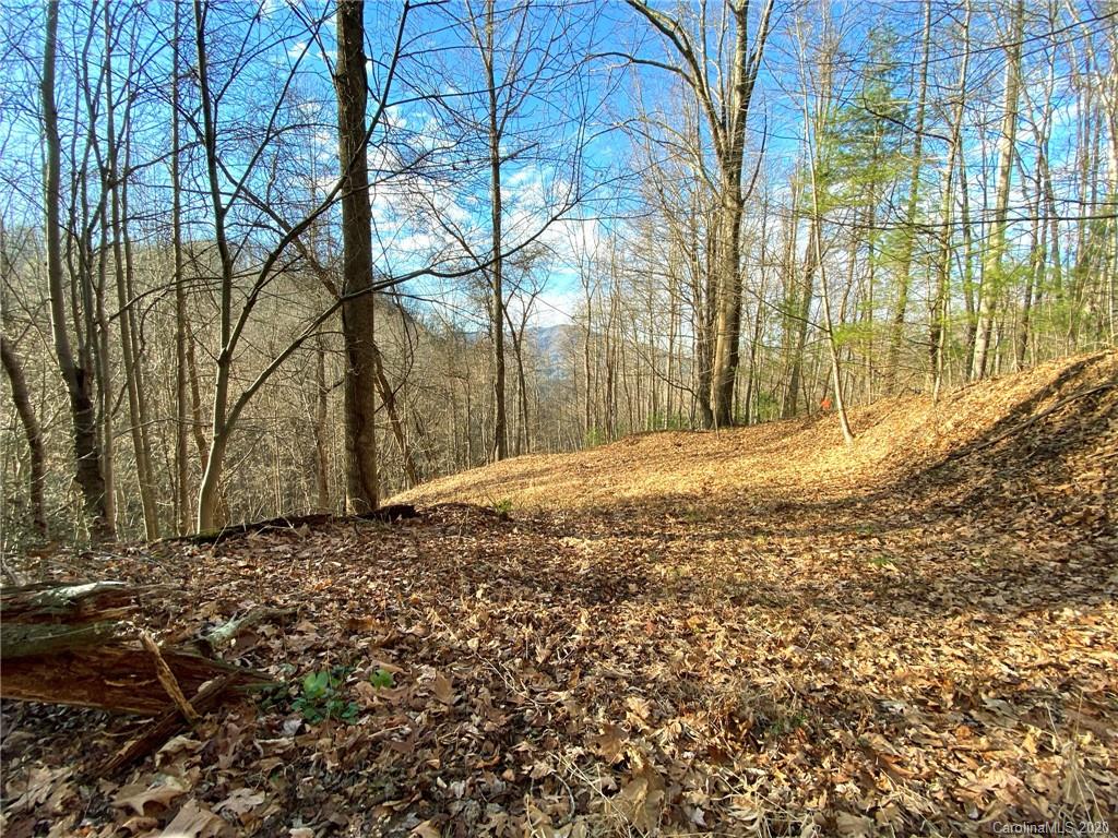3111 Baltimore Branch Road Hot Springs, NC 28743 - Photo 23 of 29 Gallery Image 23