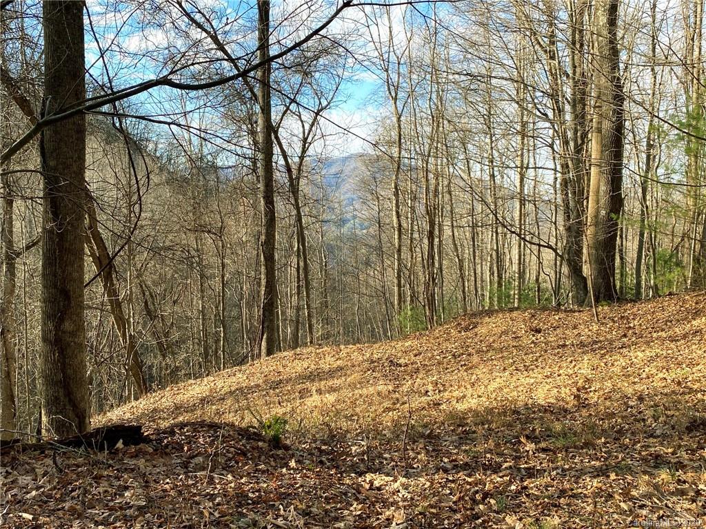 3111 Baltimore Branch Road Hot Springs, NC 28743 - Photo 26 of 29 Gallery Image 26