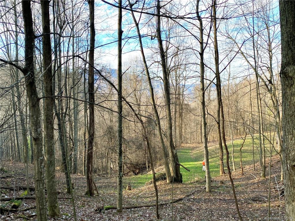 3111 Baltimore Branch Road Hot Springs, NC 28743 - Photo 27 of 29 Gallery Image 27