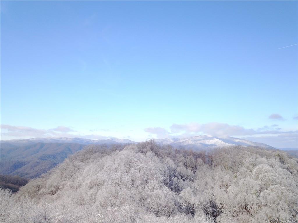3111 Baltimore Branch Road Hot Springs, NC 28743 - Photo 28 of 29 Gallery Image 28