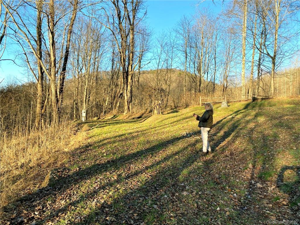 3111 Baltimore Branch Road Hot Springs, NC 28743 - Photo 4 of 29 Gallery Image 4