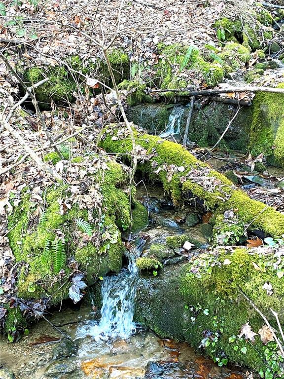 3111 Baltimore Branch Road Hot Springs, NC 28743 - Photo 6 of 29 Gallery Image 6