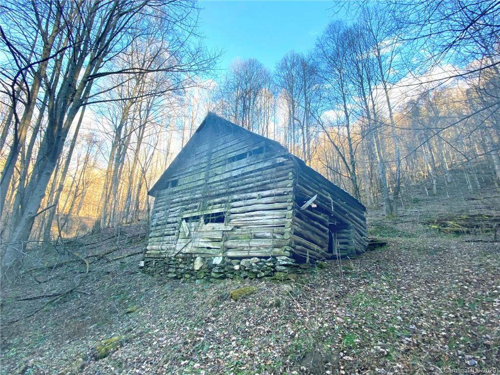 3111 Baltimore Branch Road Hot Springs, NC 28743 - Photo 9 of 29 Gallery Image 9