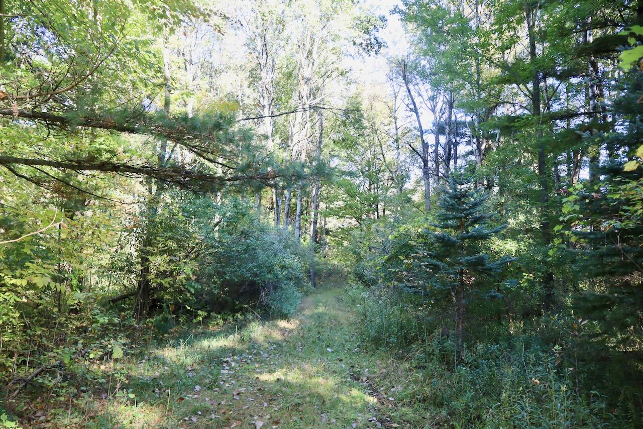 6945 Ward Road Sterling, MI 48659 - Photo 10 of 65 010