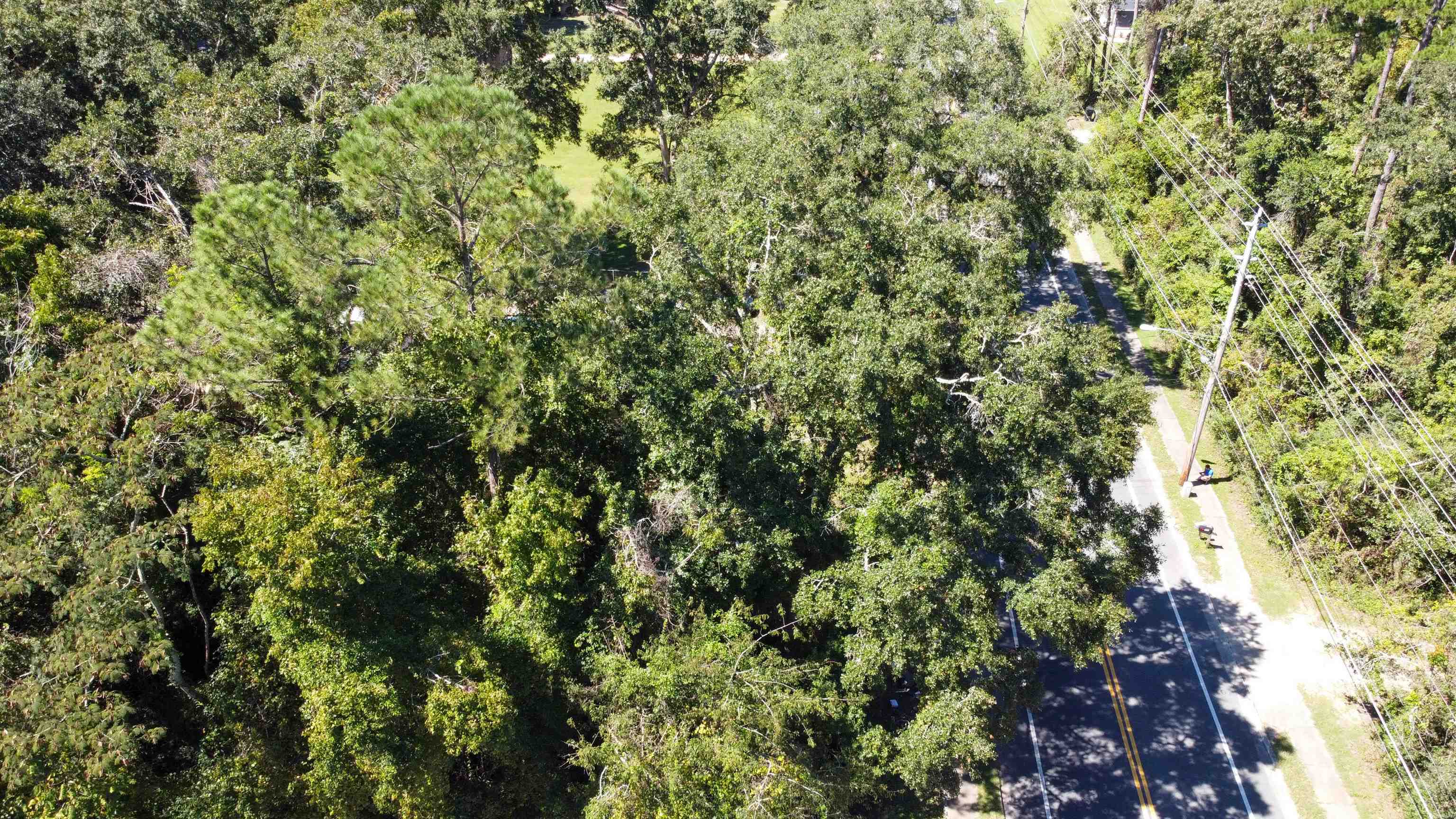 201 Henderson Road Tallahassee, FL 32312 - Photo 2 of 9 Gallery Image 2