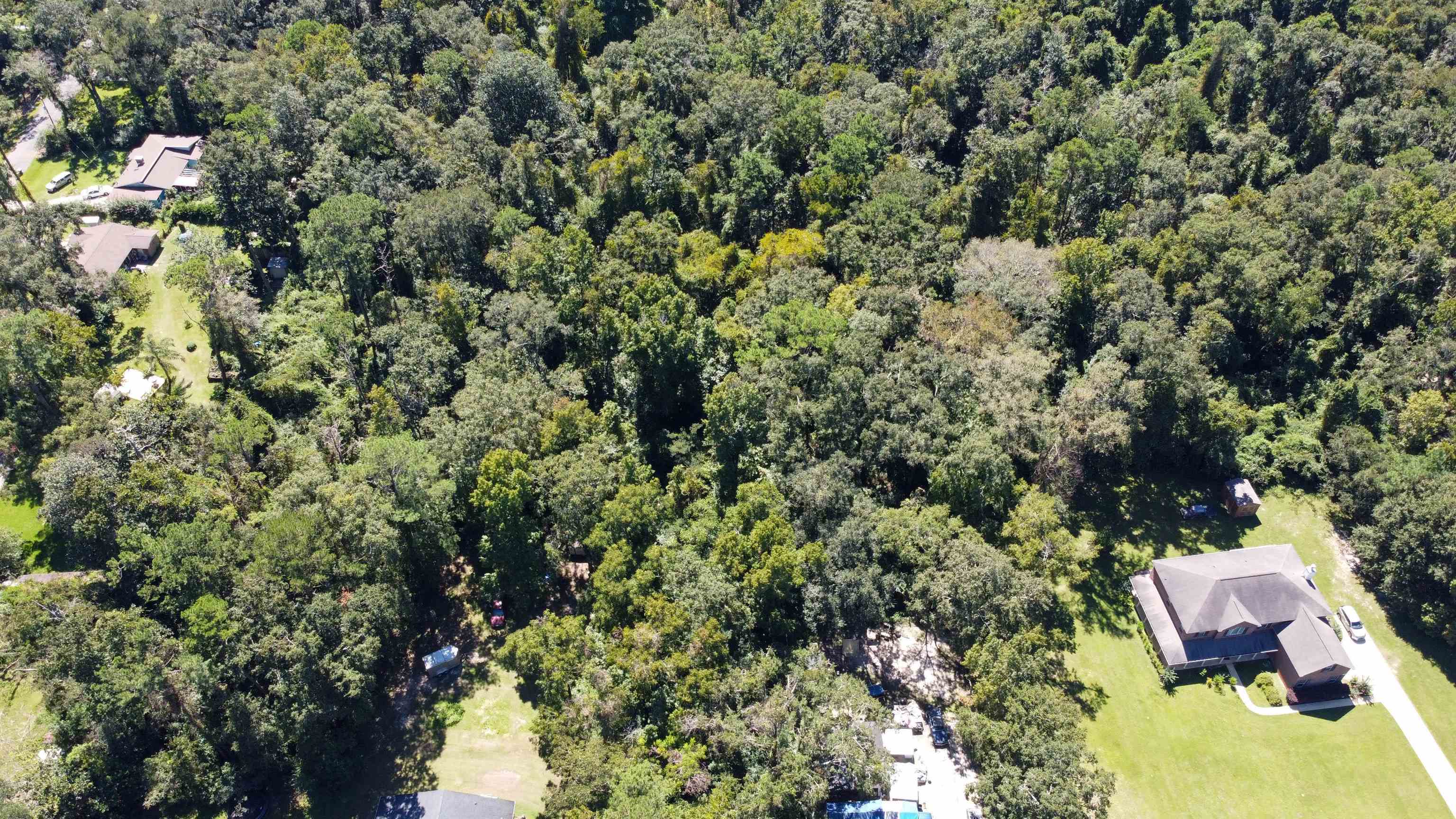 201 Henderson Road Tallahassee, FL 32312 - Photo 6 of 9 Gallery Image 6